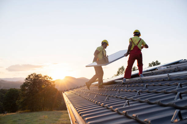 Best Roof Moss and Algae Removal  in Monroeville, IN